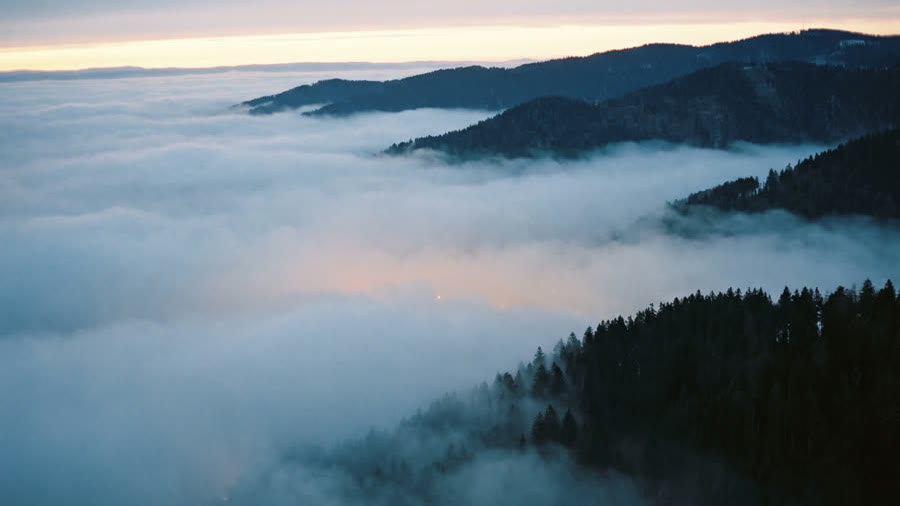 Fog in a mountain valley at dawn, with forested slopes in the foreground.